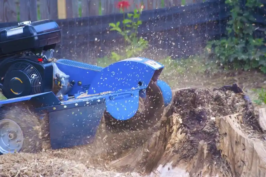 Stump Grinding Service Stump Grinding Service