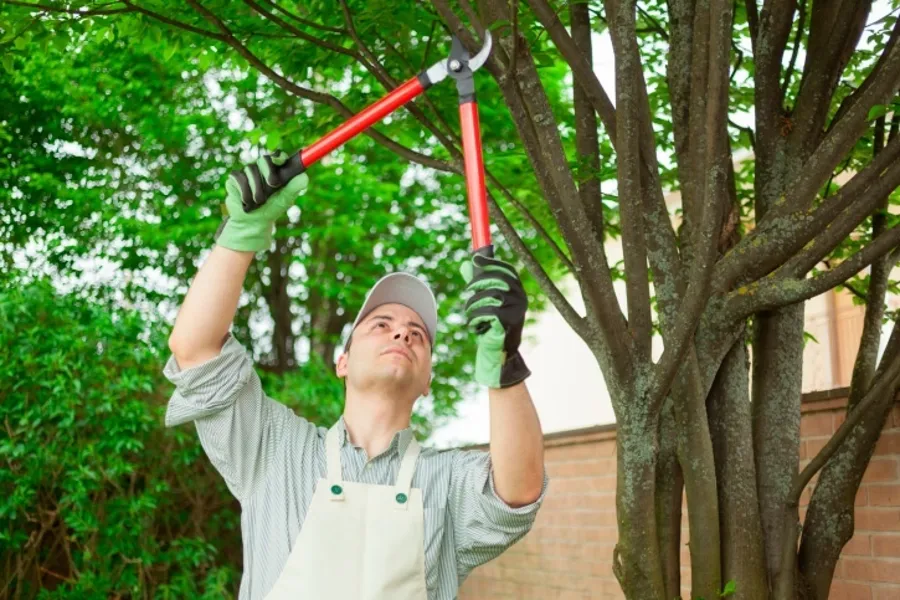 Affordable Tree Trimming Tulsa, OK Affordable Tree Trimming Tulsa, OK